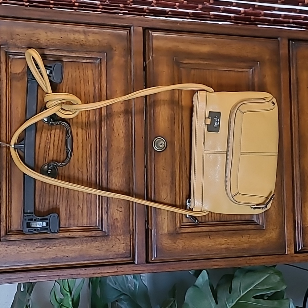 Tignanello Learher Crossbody Bag